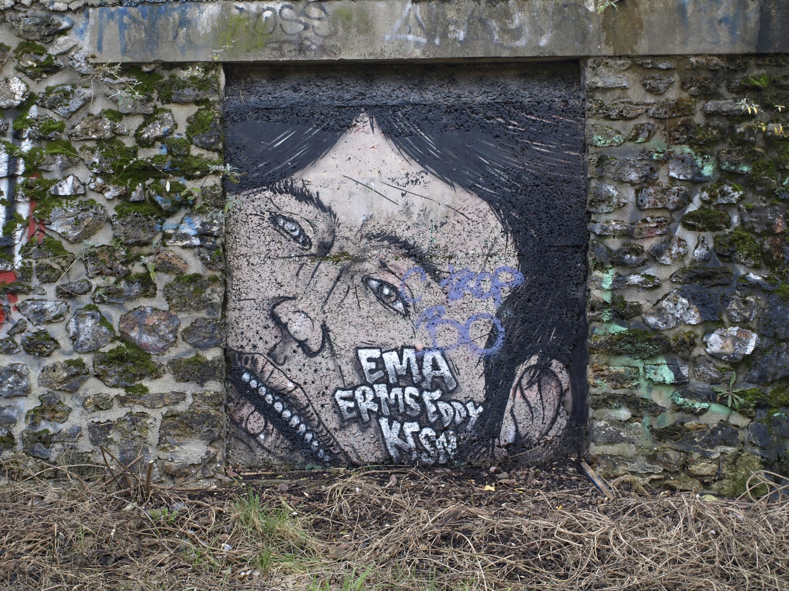 photo graffiti Paris 15éme arrondissement