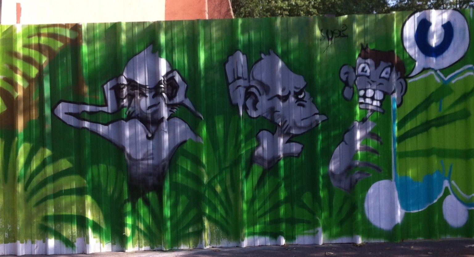 photo graffiti de Lyon