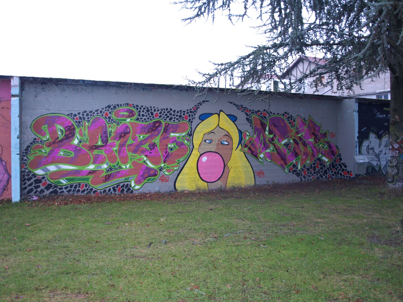 photo graffiti de Chambery