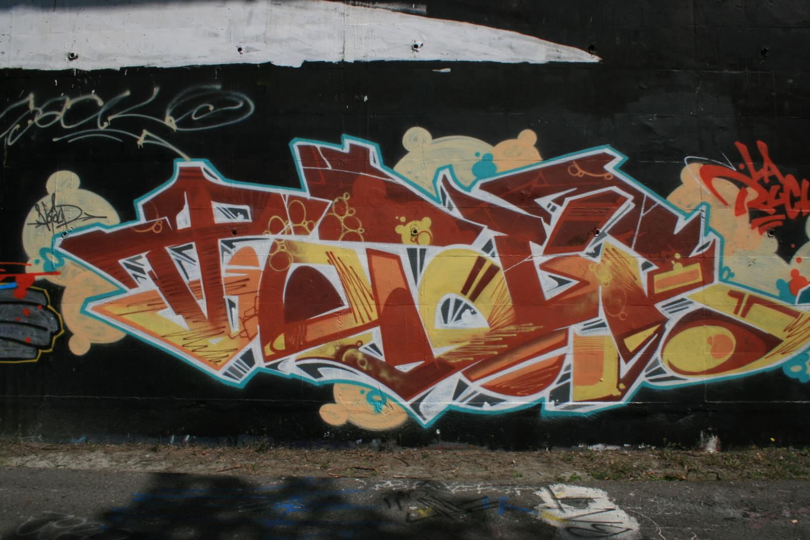 photo graffiti de Grenoble