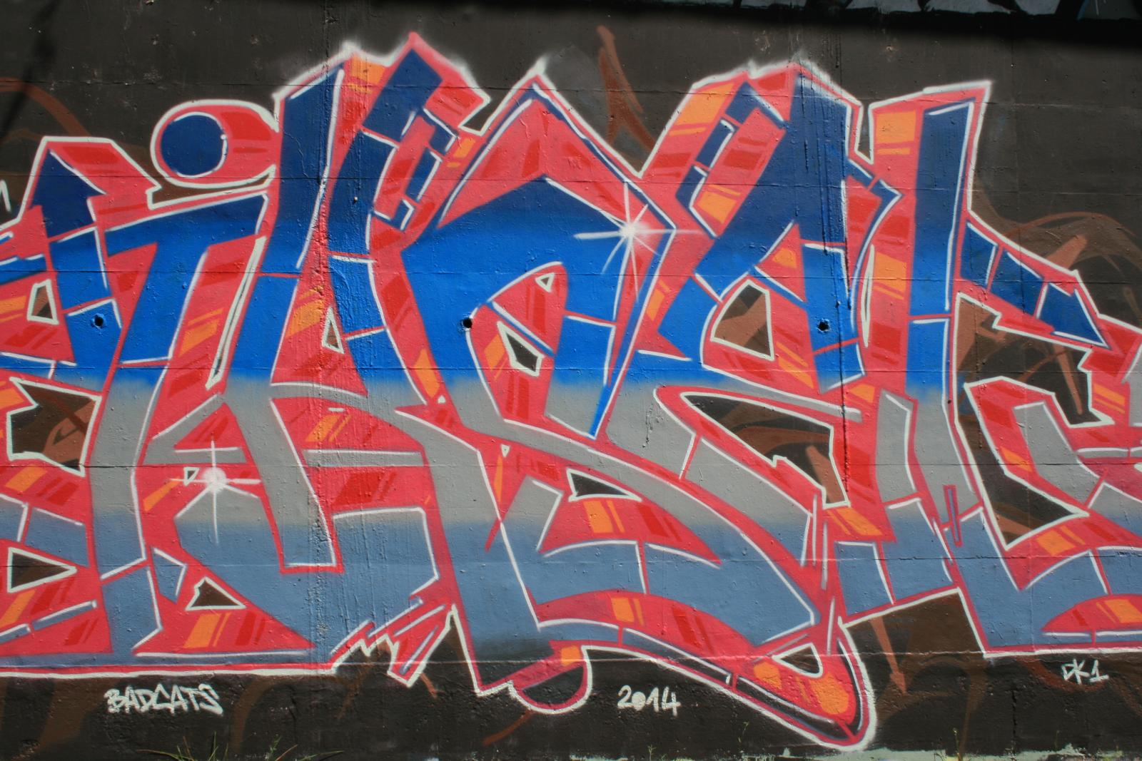 photo graffiti de Grenoble
