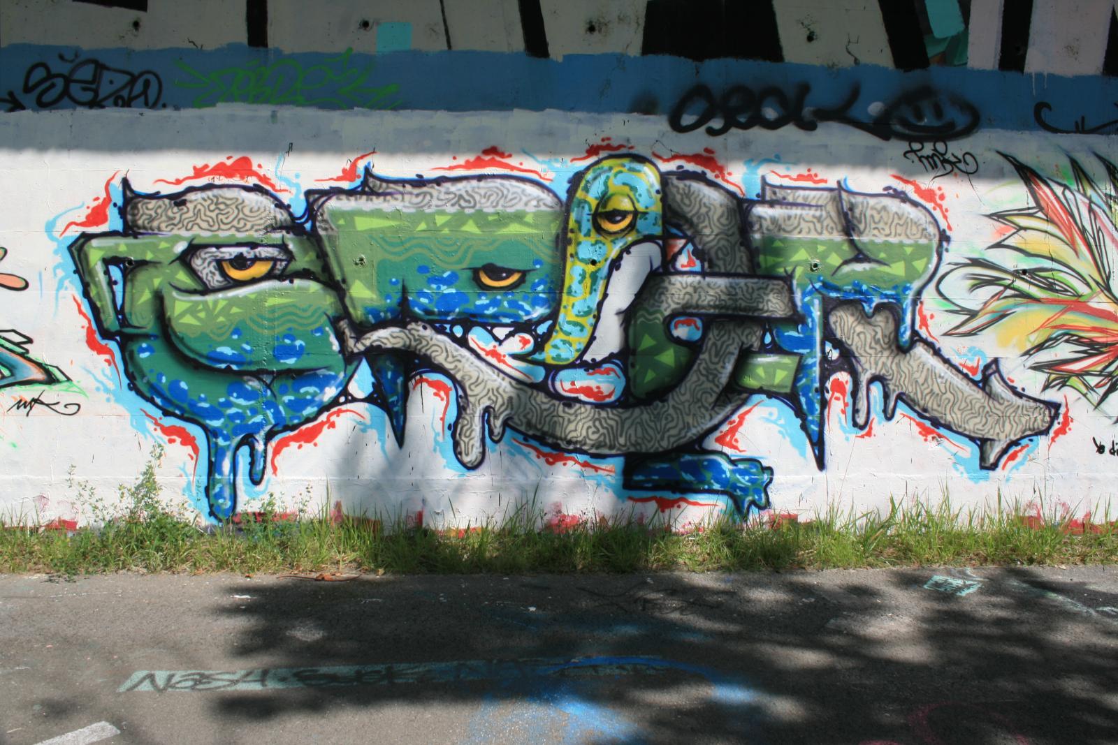 photo graffiti de Grenoble