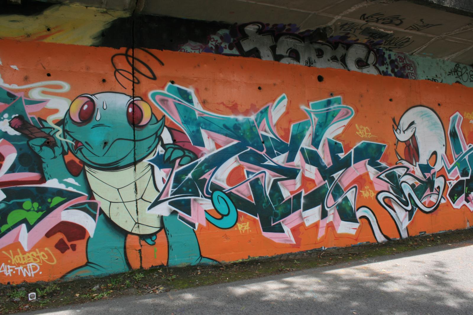 photo graffiti de Grenoble