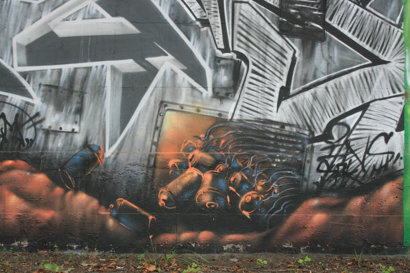 photo graffiti de Grenoble