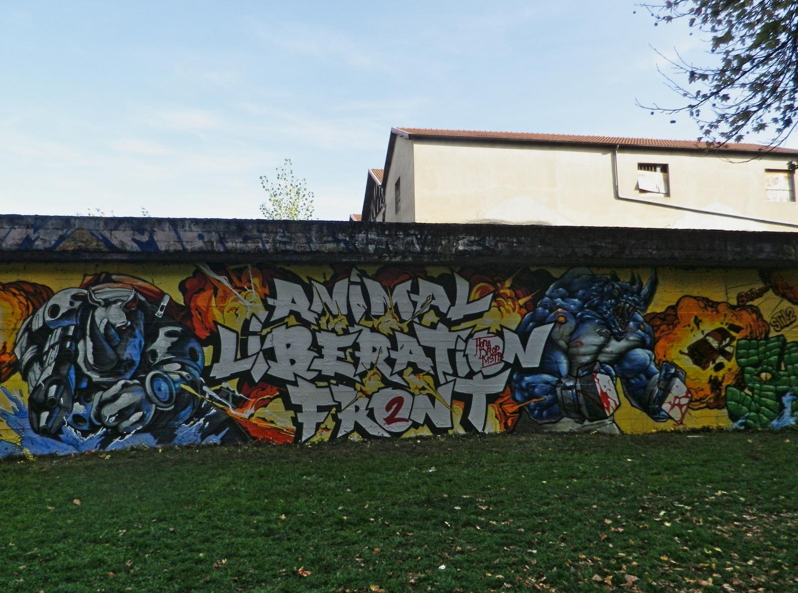 photo graffiti de Chambery