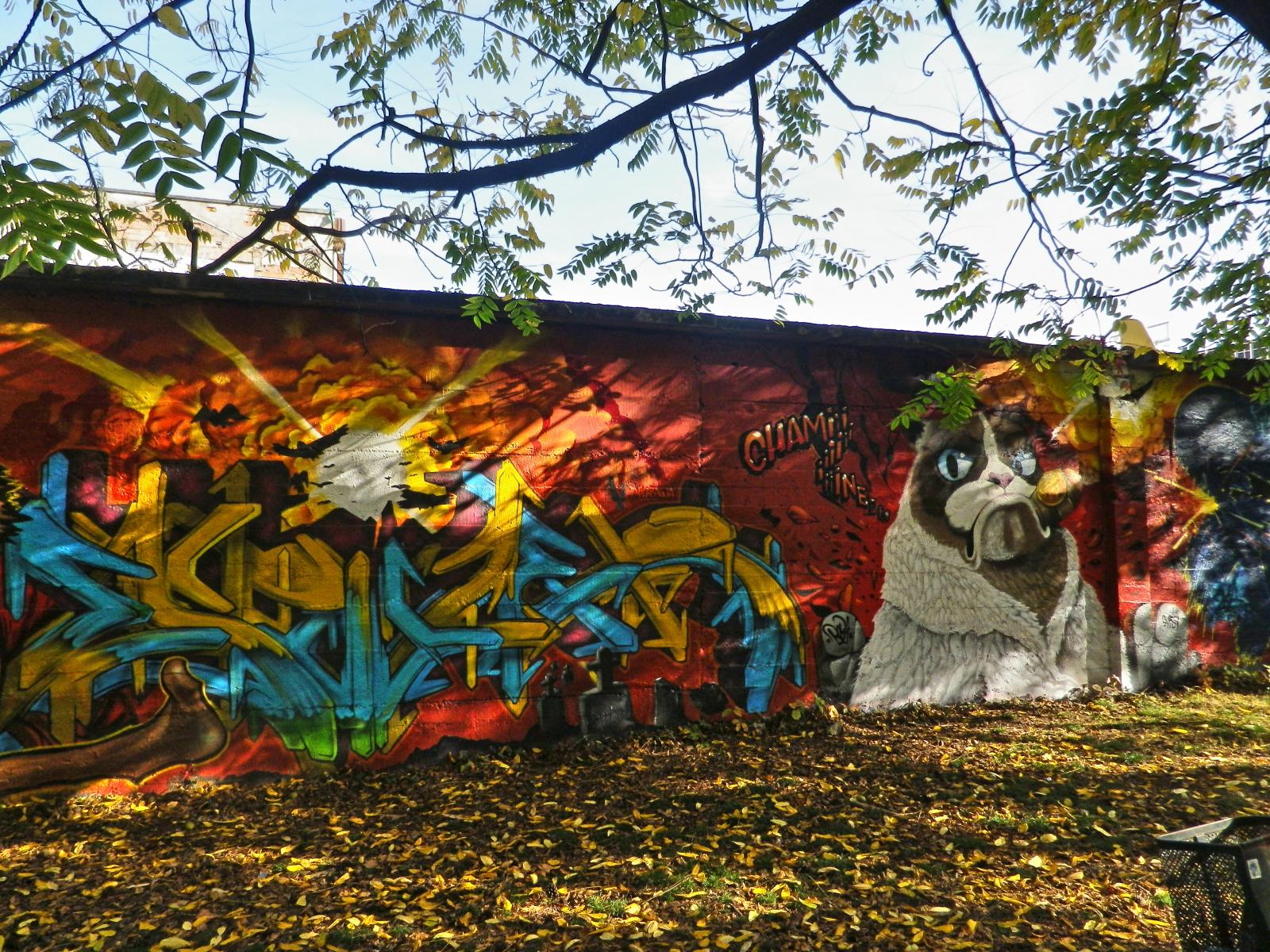 photo graffiti de Chambery