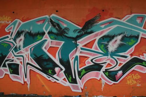 photo graffiti Grenoble