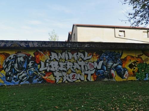 photo graffiti Chambery