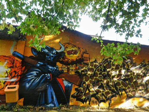 photo graffiti Chambery