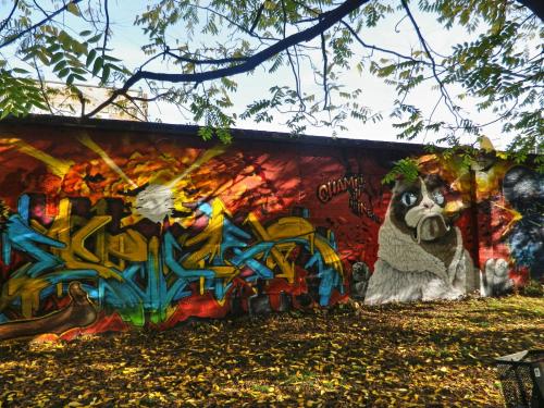 photo graffiti Chambery