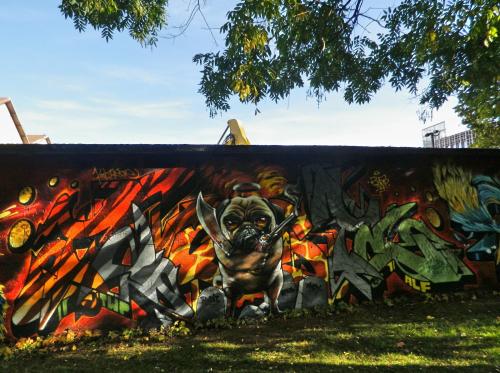 photo graffiti Chambery