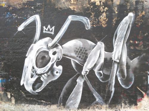 photo graffiti La Valette, Malte 